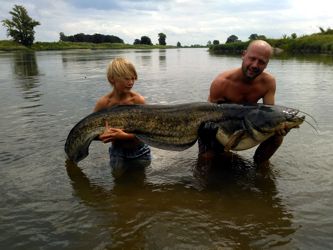 [Bild eines Kapitals an der Elbe]